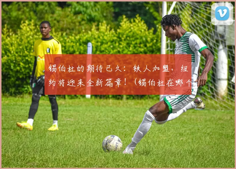 锡伯杜的期待已久：铁人加盟，纽约将迎来全新篇章！(锡伯杜在哪个球队)